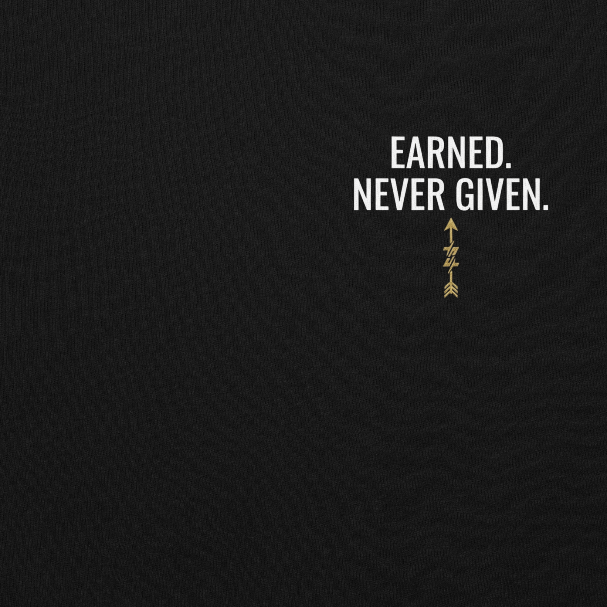 Earned. Never Given. — RYZNK Hoodie - Image 4